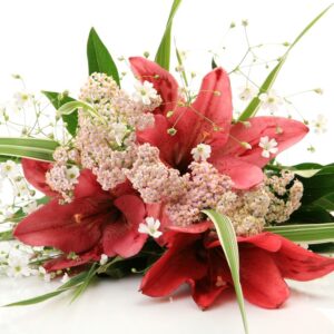 Be My Flower Be My Flower