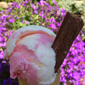 A Taste of Italy Ice Cream Tricycle Hire A Taste of Italy Ice Cream Tricycle Hire