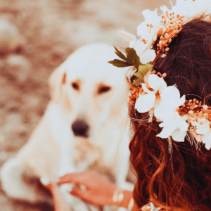 Fetch & Flourish Fetch & Flourish