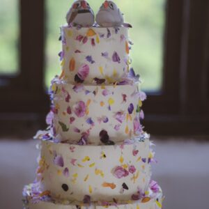 A MAGICAL SLICE