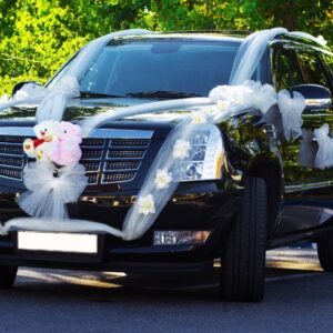LA Stretch Limos LA Stretch Limos